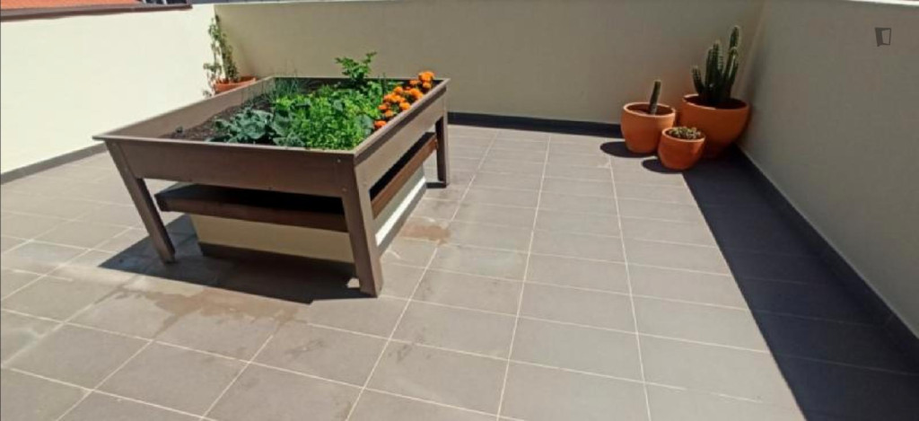 Nice 1 Bedroom Apartment with a private terrace close to Santa Luzia Elevator