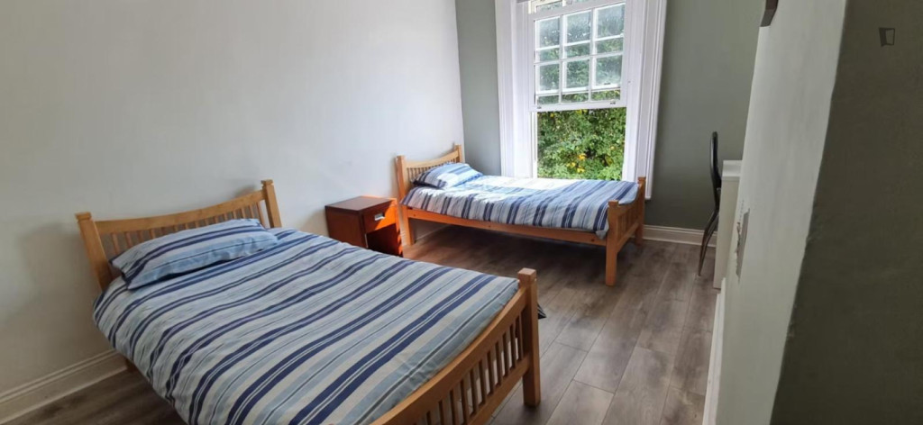 Bed in a bright twin room in Broadstone - Dublin - chambre - ImmoJeune