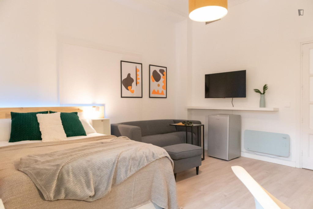 Bright double bedroom in Almagro - Madrid - chambre - ImmoJeune