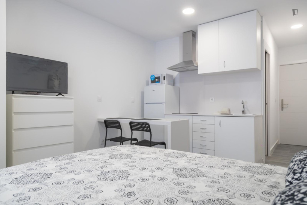 Charming studio in Opañel - Madrid - chambre - ImmoJeune