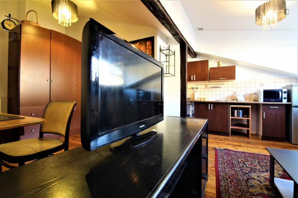 Unique Apartment near the historic center of Krakow 