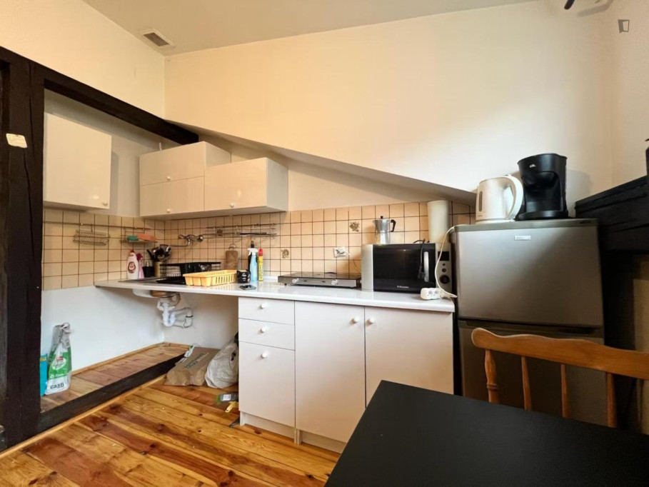 Unique Apartment near the historic center of Krakow 