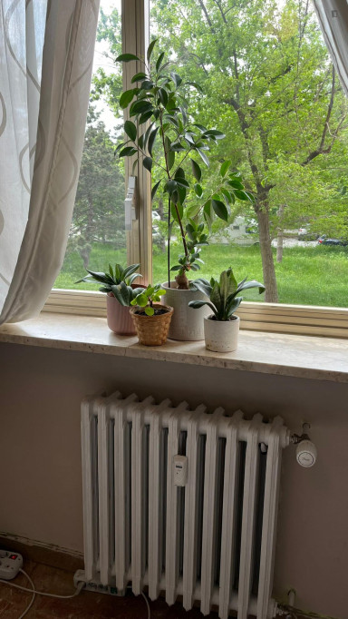 Single bedroom in a 4-bedroom apartment near Politecnico