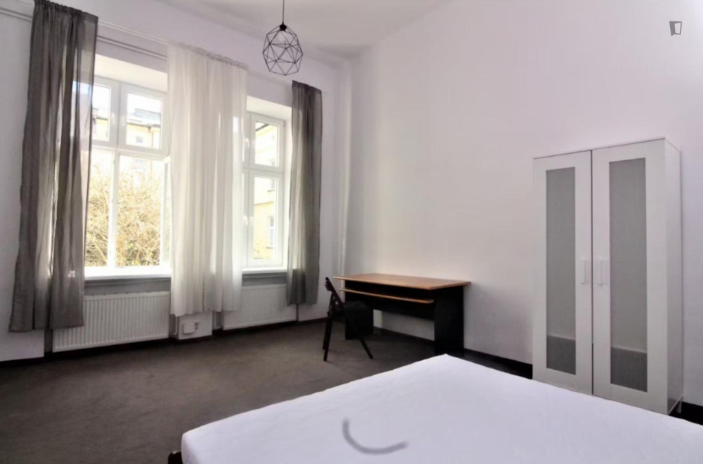 Spacious Bedroom in the best area in Kraków (Stradom)
