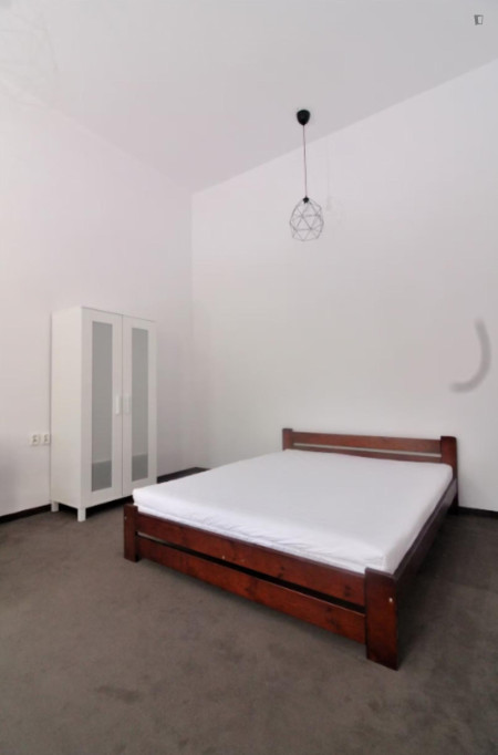 Spacious Bedroom in the best area in Kraków (Stradom)