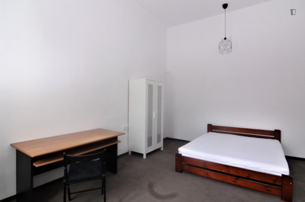 Spacious Bedroom in the best area in Kraków (Stradom)