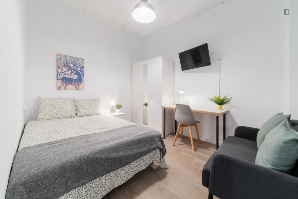 Large Attractive double bedroom - Valence - chambre - ImmoJeune