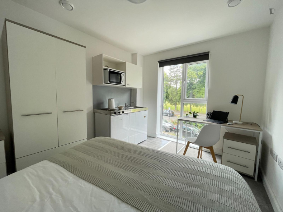 Brand new studio flat in Saint Mary - Southampton - chambre - ImmoJeune