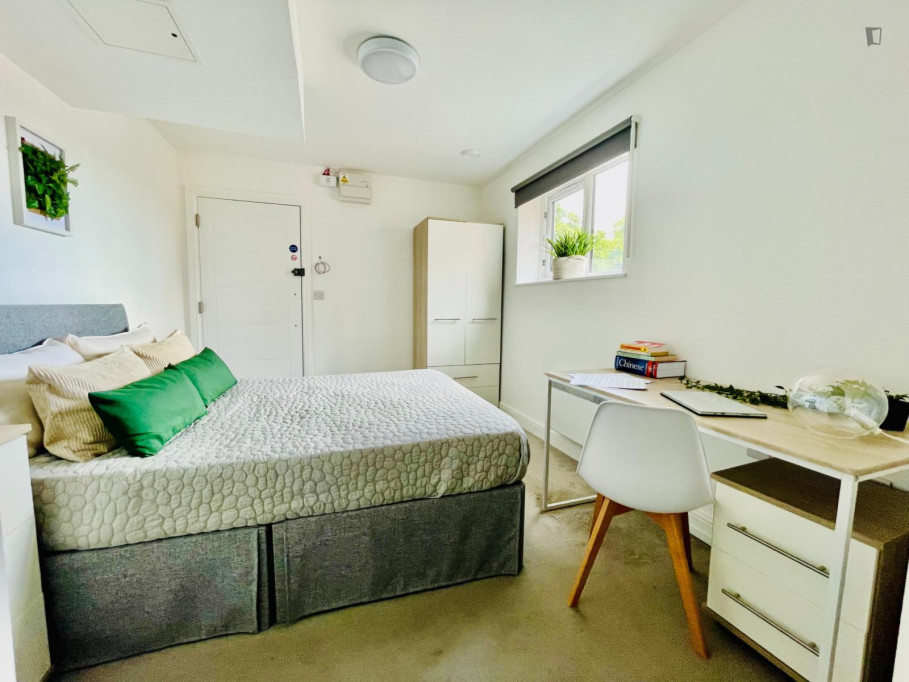 Lovely new studio close to Southampton City Centre - Southampton - chambre - ImmoJeune