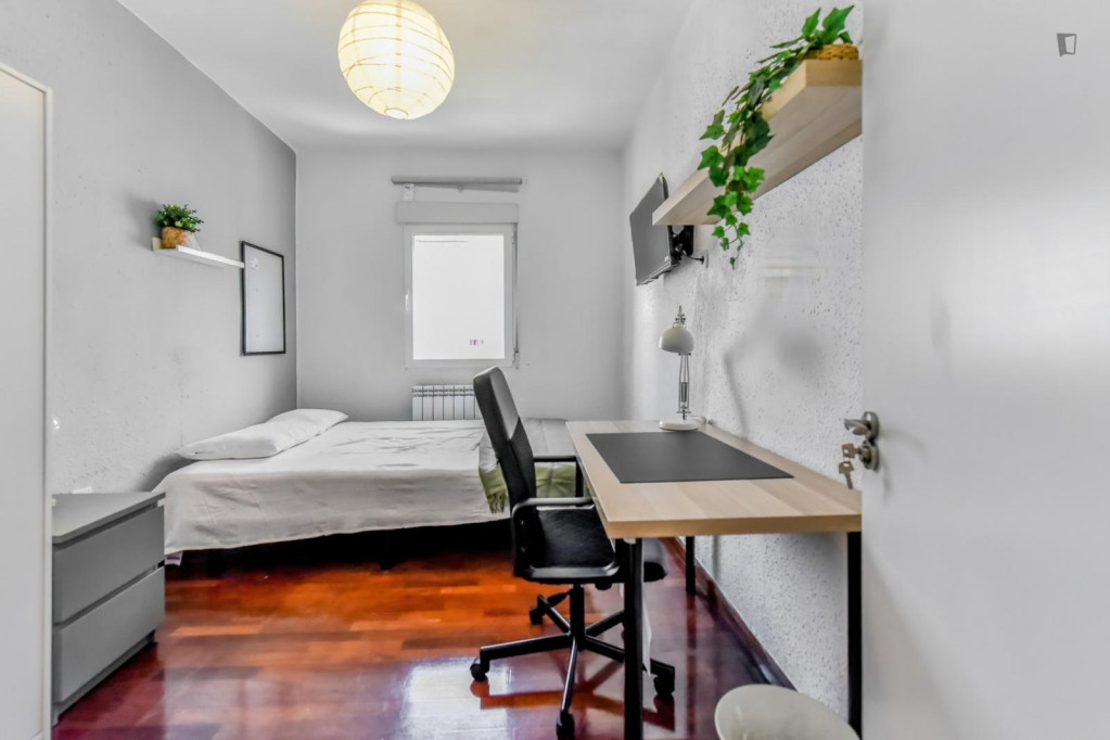 Appealing single bedroom - Valladolid - chambre - ImmoJeune