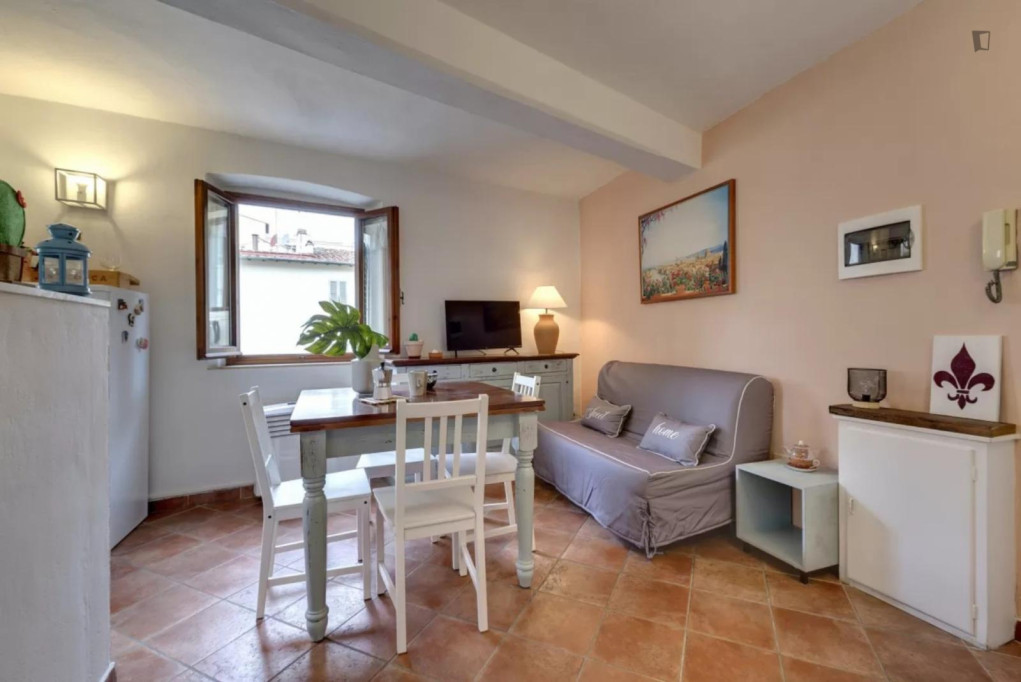 Lovely 1-bedroom apartment in Santo Spirito - Florence - chambre - ImmoJeune