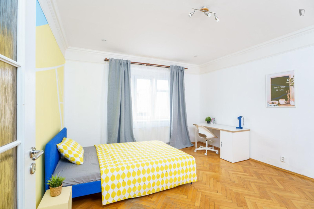 Spacious double-bedroom in Jazerka - Prague - chambre - ImmoJeune