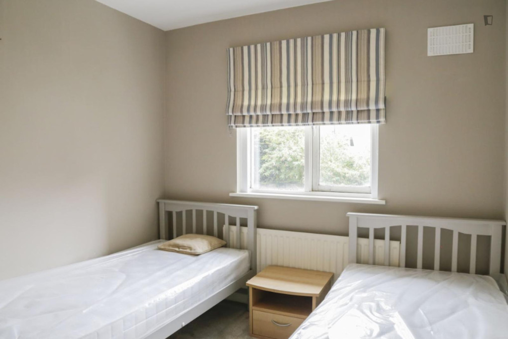 Single bed in bright twin room in Dublin - Dublin - chambre - ImmoJeune