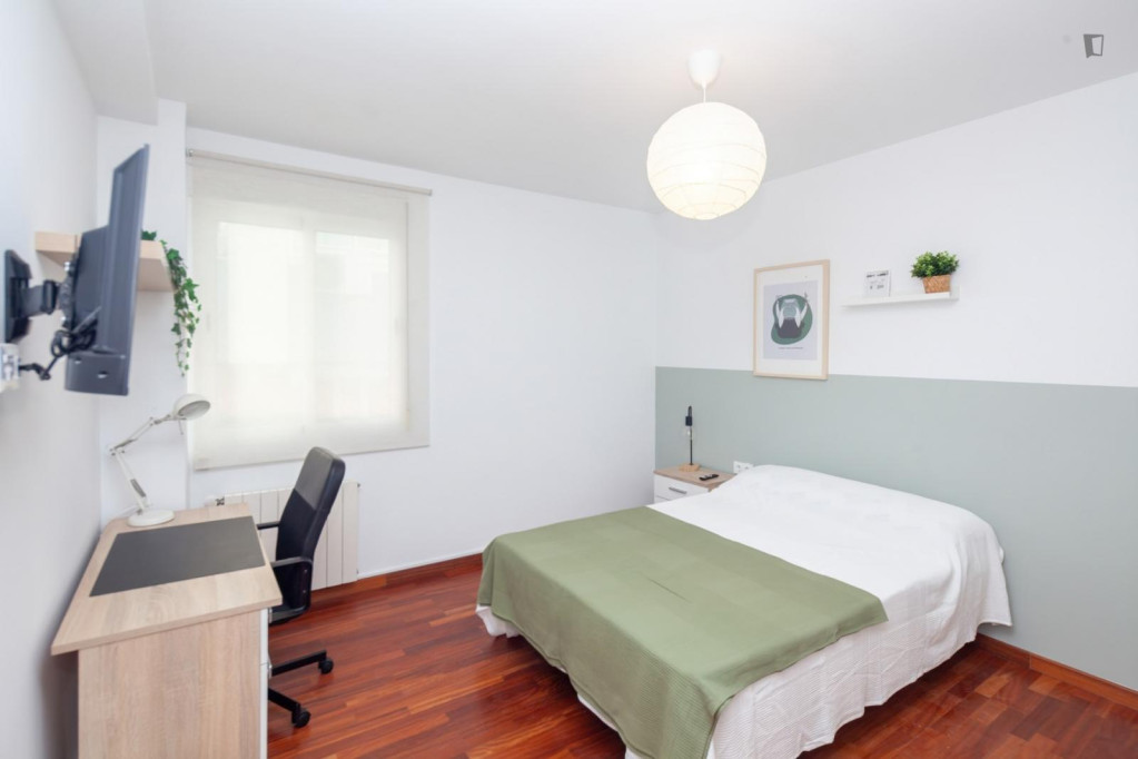 Great looking single bedroom - Valence - chambre - ImmoJeune