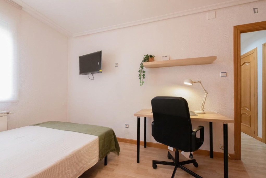 Cozy single bedroom - Valladolid - chambre - ImmoJeune