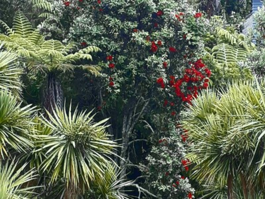 Leafy Native Bush Retreat
