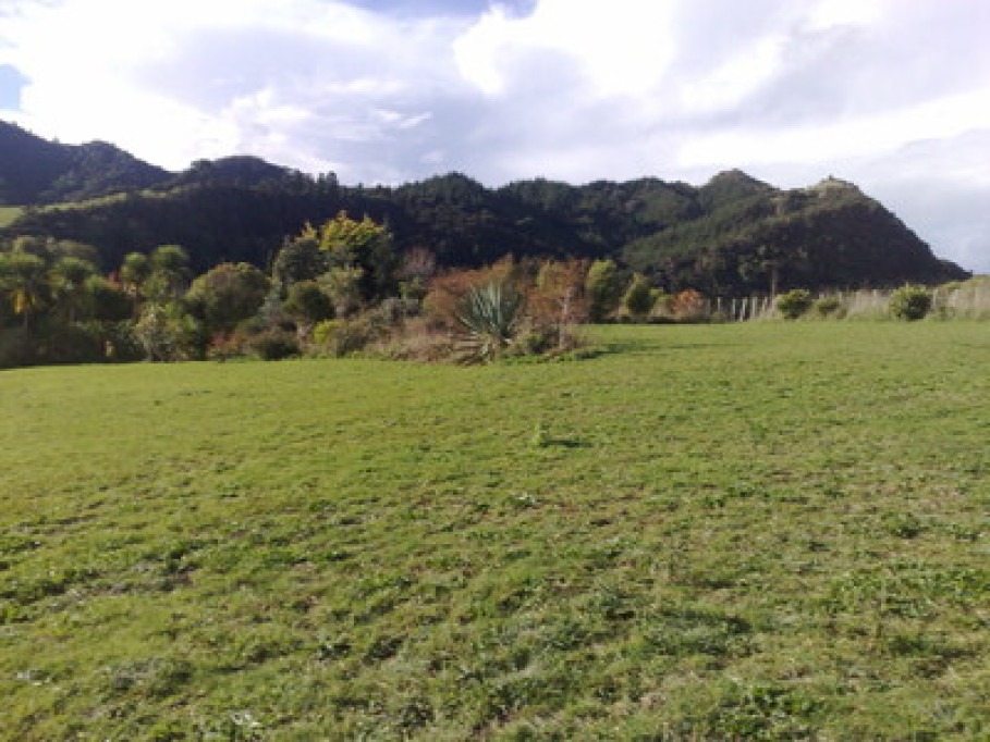 Rural pagan family lifestyle