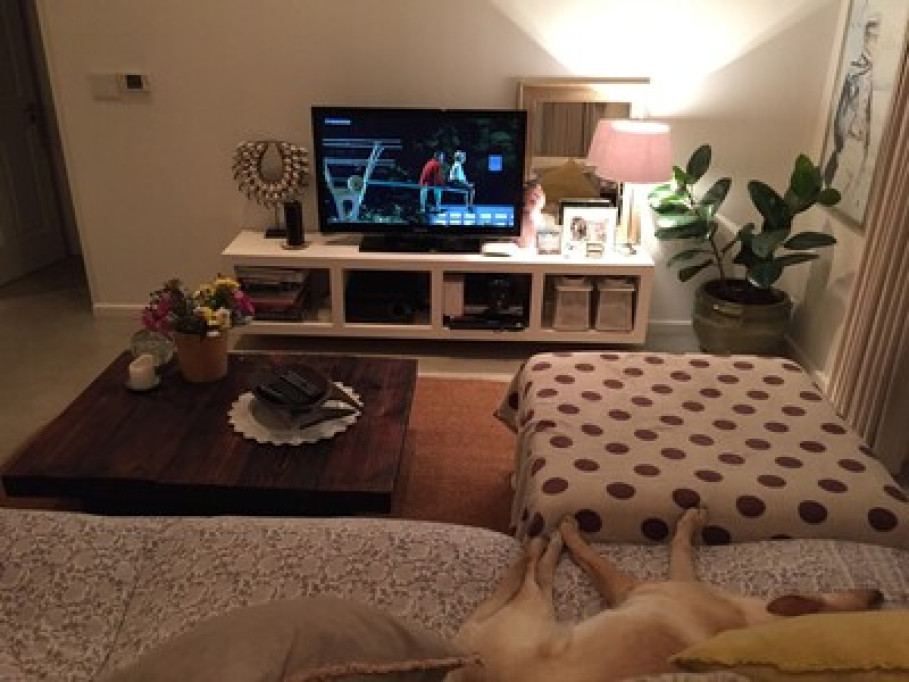 Cozy modern atmosphere  