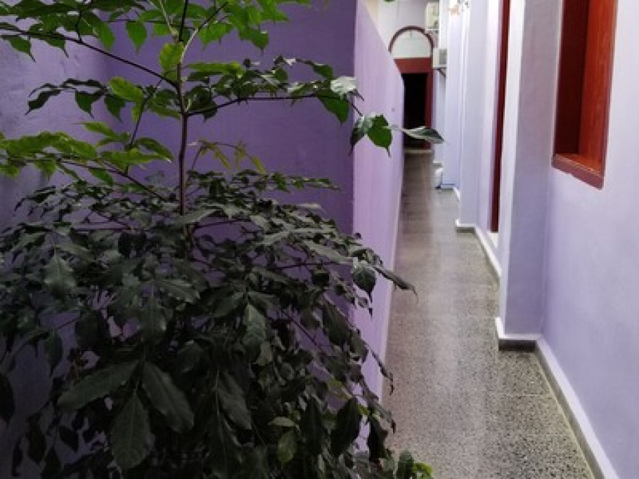 Casa particular