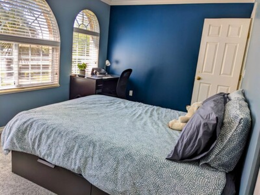 Spacious Bright and Cozy Suite