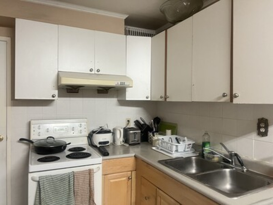 Hosted Homestay FEMALES ONLY