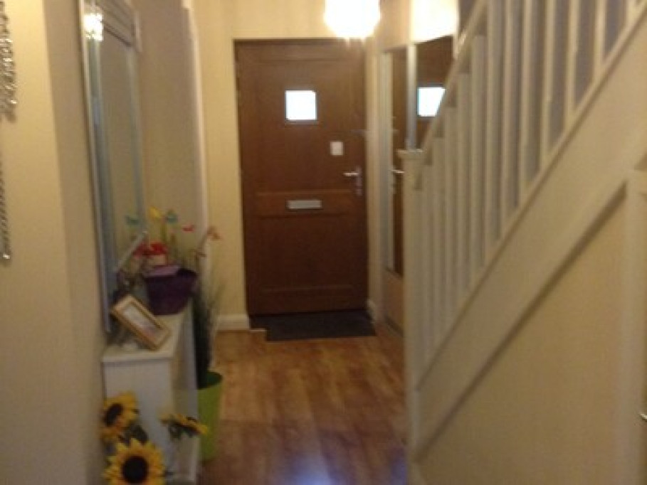 Large single room 