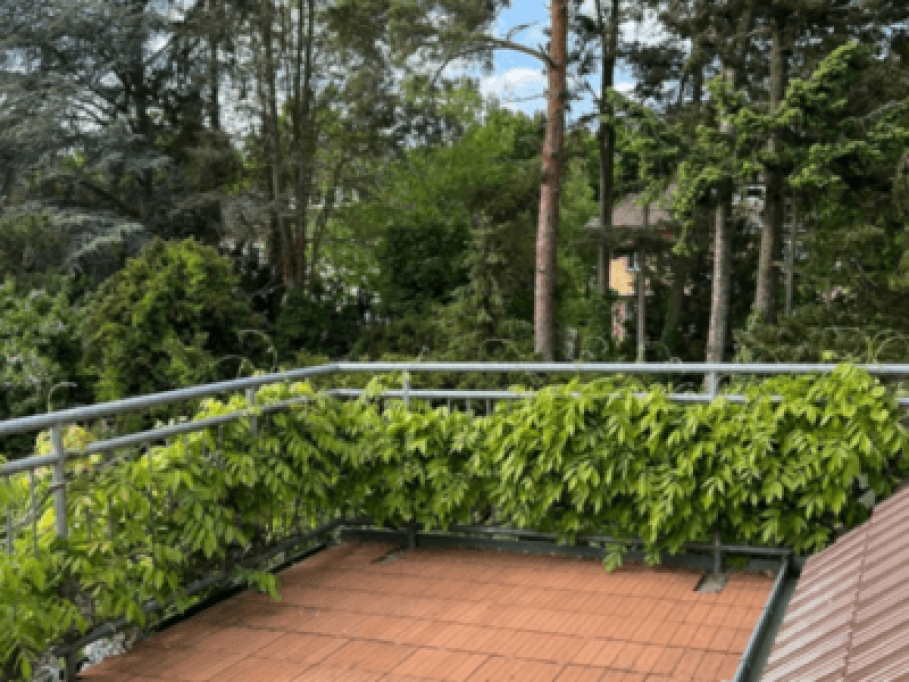 Ruhiges Zimmer mit Garten 