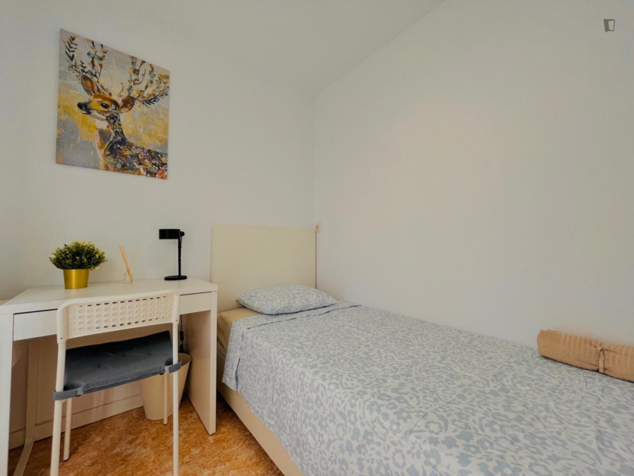 Great looking single bedroom - Madrid - chambre - ImmoJeune