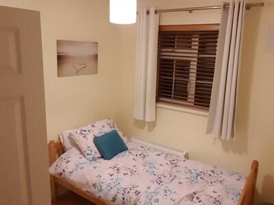 single room to rent