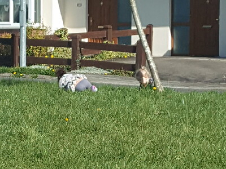 Warm and friendly carlow family