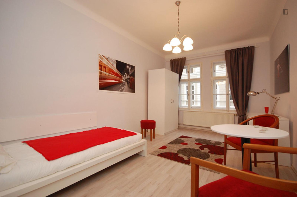 Comfy studio in Žižkov - Prague - chambre - ImmoJeune