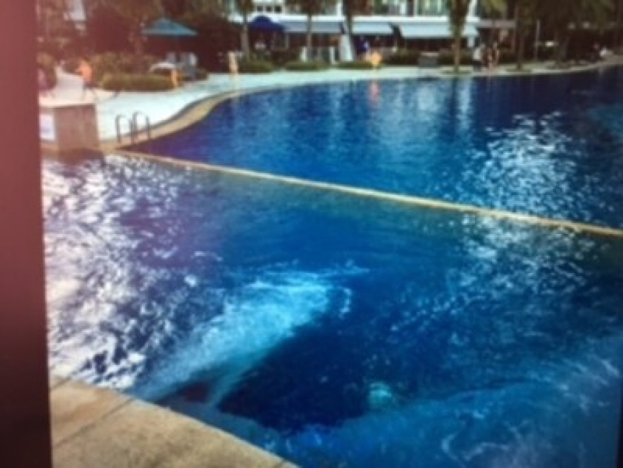 Condominium next to seaside, mall