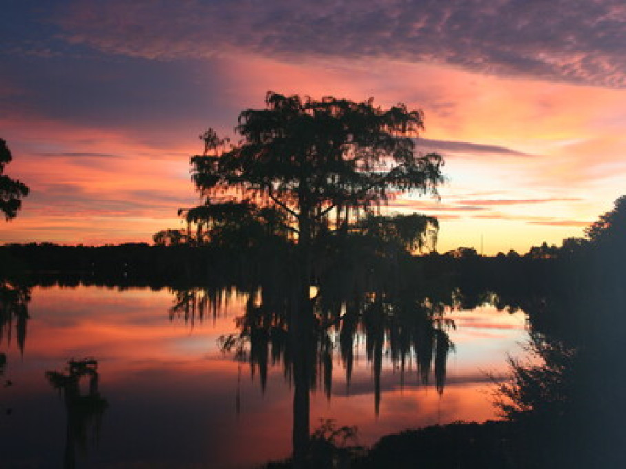 Great view of Lake Buchanon