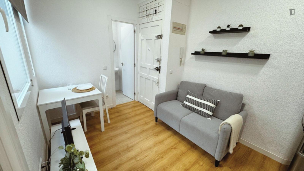 Inviting 1-bedroom apartment in Delicias - Madrid - chambre - ImmoJeune