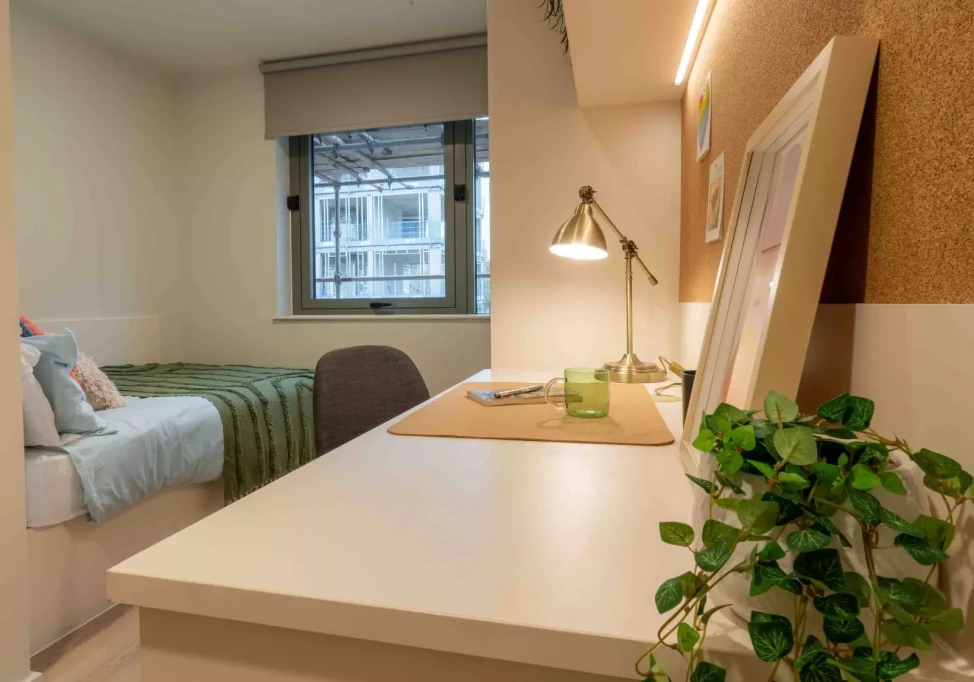 Longwood Place - Coventry - chambre - ImmoJeune