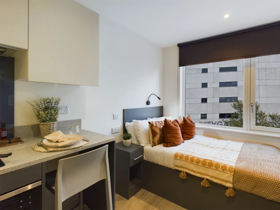 Sheares Hall - Newcastle upon Tyne - chambre - ImmoJeune