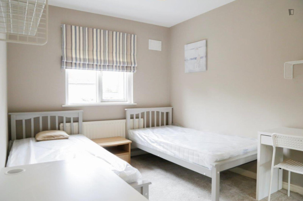 Bed in cosy twinbedroom in Dublin City Center - Dublin - chambre - ImmoJeune