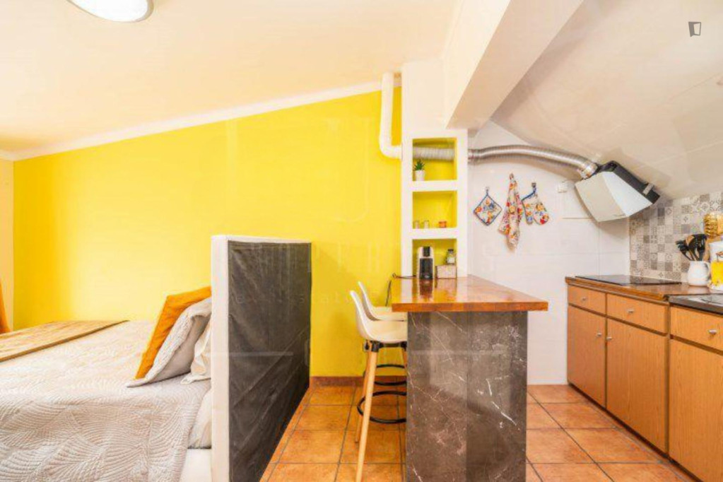 Comfy studio next to Alma Shopping
