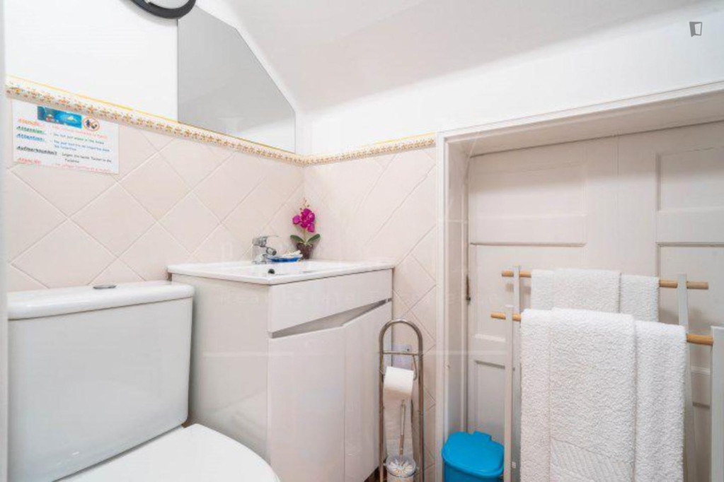 Comfy studio next to Alma Shopping