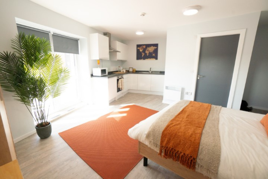 Madison Gardens - Nottingham - chambre - ImmoJeune