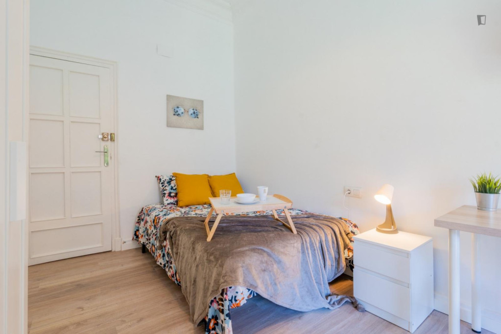 Large Cozy double bedroom - Valence - chambre - ImmoJeune