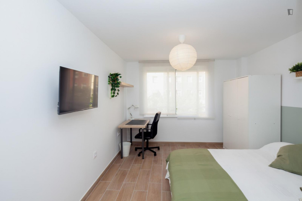 Attractive single bedroom - Valence - chambre - ImmoJeune
