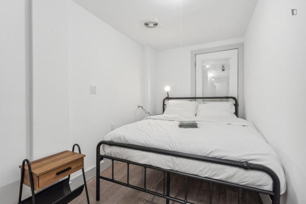 Cute double bedroom in Bedford-Stuyvesant - New York City - chambre - ImmoJeune