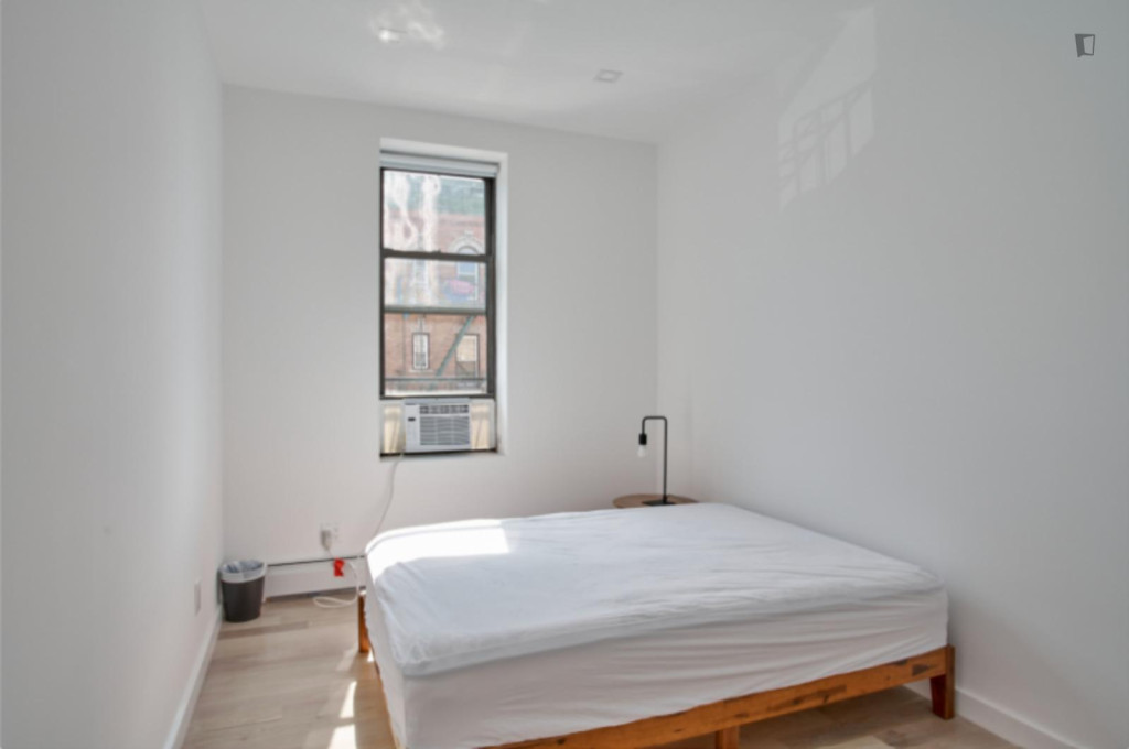 Charming Private Space with Flexible Lease Options - New York City - chambre - ImmoJeune
