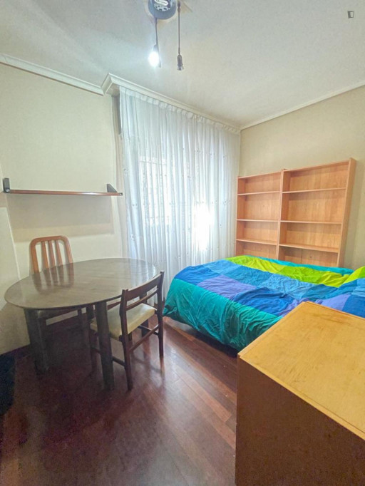 Double bedroom in 3-bedroom apartment - Bilbao - chambre - ImmoJeune