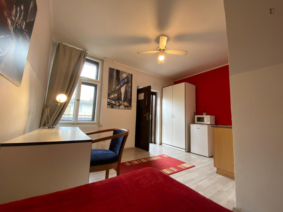 Very comfy studio in Žižkov - Prague - chambre - ImmoJeune