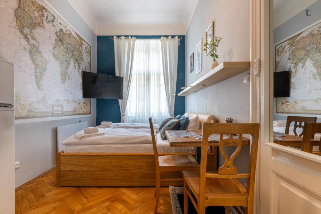 Very cool studio in Prague 1 - Prague - chambre - ImmoJeune