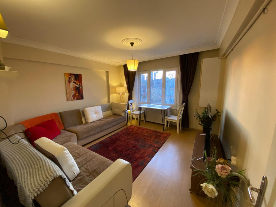 Charming 1-bedroom apartment in Akaretler - Istanbul - chambre - ImmoJeune