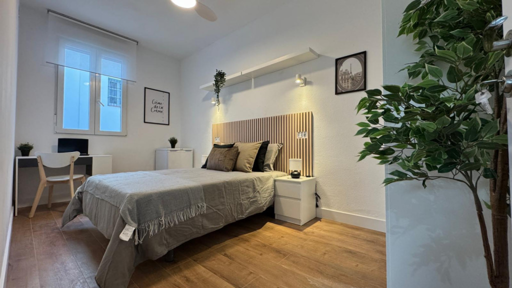 Beautiful double bedroom in central Madrid - Madrid - chambre - ImmoJeune