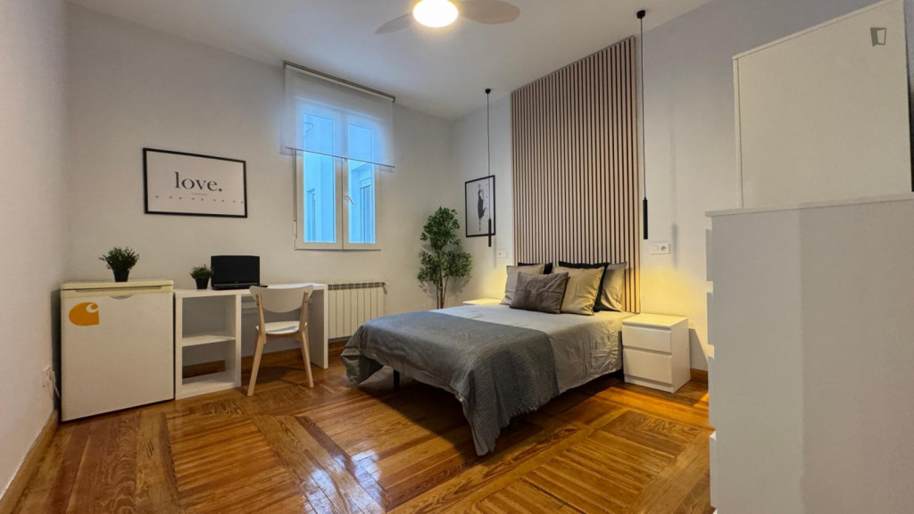 Spacious double bedroom in central Madrid - Madrid - chambre - ImmoJeune